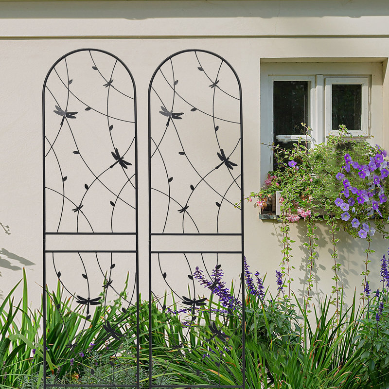 Treillis polyvalent en métal pour les plantes d'extérieur, rehaussant la beauté du jardin