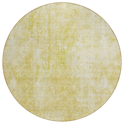  Caseville Area Rug