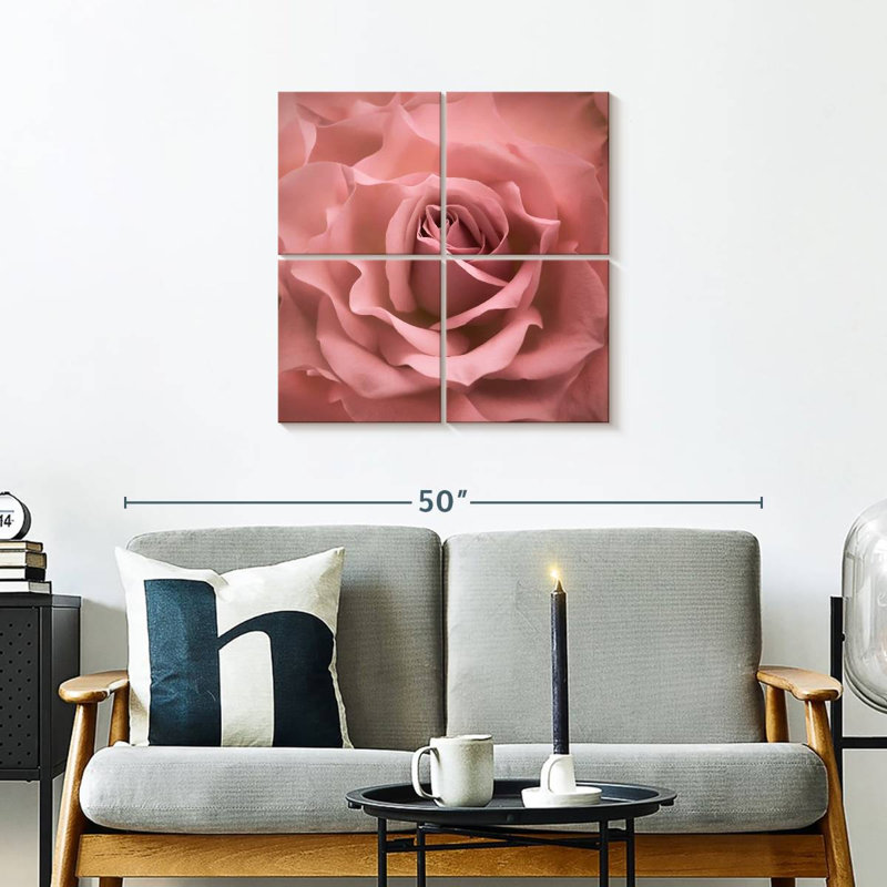 Rose brumeux Harnek, H 26 po x l 26 po