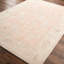 Oriental Area Rug-1816914955