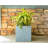 Planter-233710366-169871259