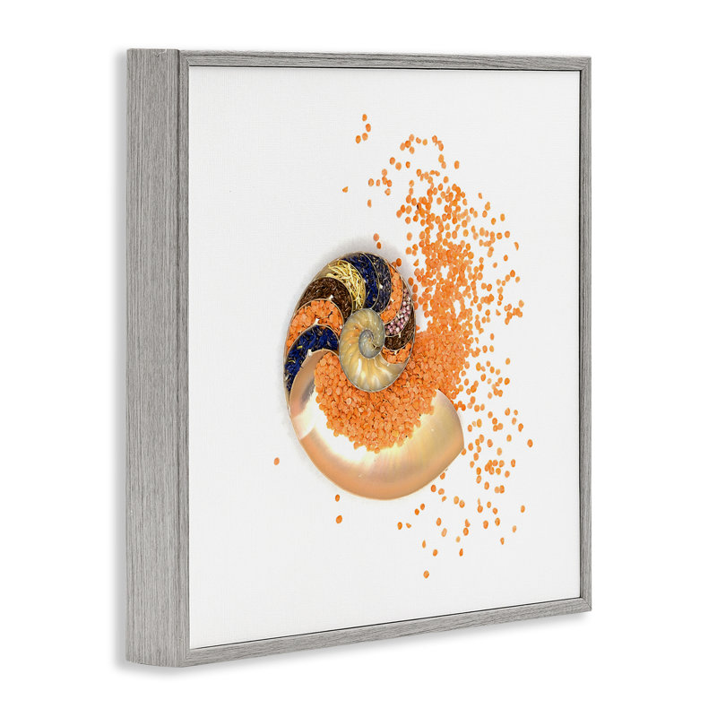 Giclée à spirale orange Nautilus orange, design par Beth Adoette, H 24 po x l 24 po, Giclée de ferme grise encadrée