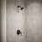 Buckley Rite-Temp Shower Trim Kit, 1.75 Gpm-121887888-121887889