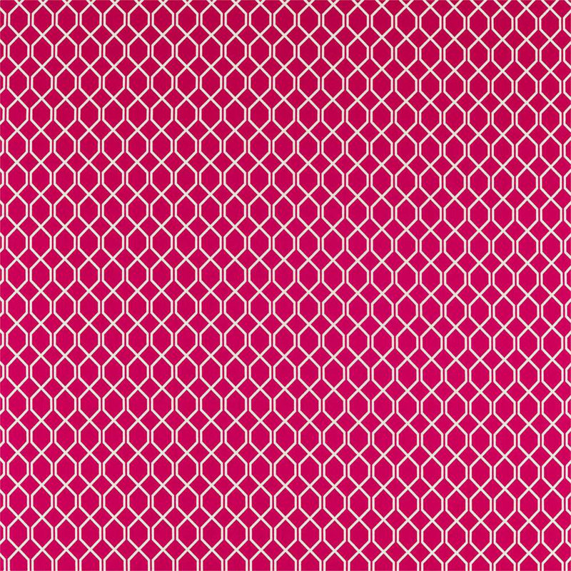 Botanic Trellis Fabric, Rhodera