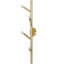 Oaks 4 - Light Wallchiere-70118452