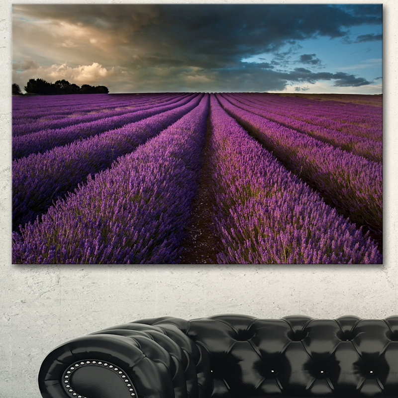 «Lavender Field and Dramatic Sky», reproduction de photo sur toile tendue, H 12 po x l 20 po