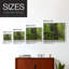 Calm of the Forest - Reproduction encadrée - Restickable-373847589-373847597