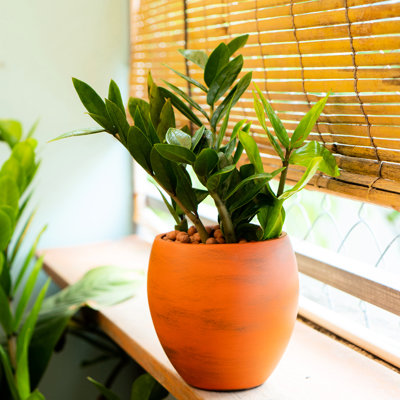 Pot rond à arrosage automatique - Améliorez votre décor intérieur et extérieur, idéal pour toutes les saisons, à l'intérieur comme à l'extérieur