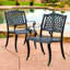 2 chaises de salle à manger en fonte d'aluminium - noir, siège en filet et, pour terrasse de patio (de 2) de couleur noire, structure, patio, terrasse,