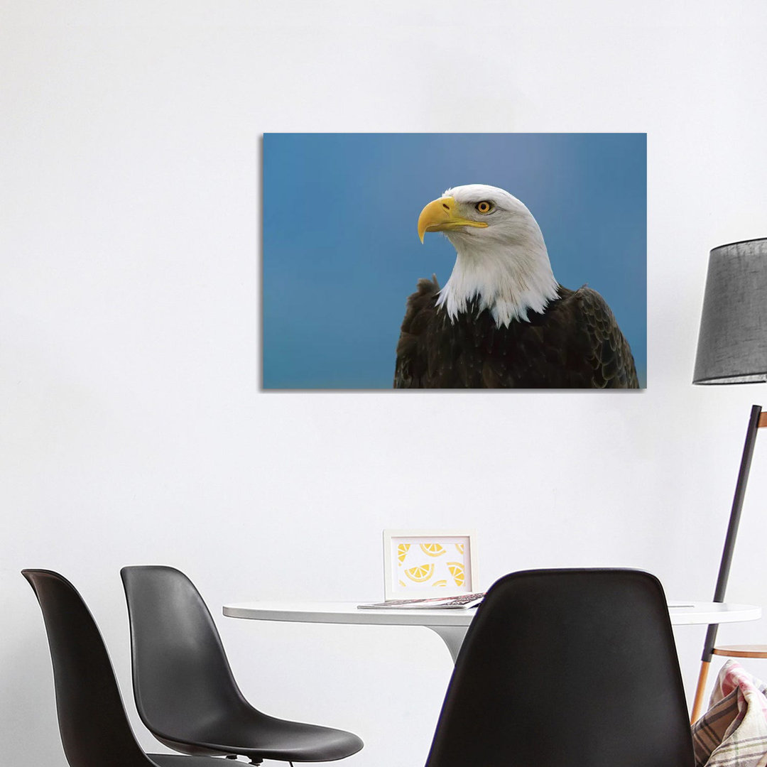 Bald Eagle Profile, North America by Konrad Wothe - Wrapped Canvas Print