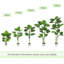 Antavis Faux Monstera Tree in Pot-1962689631