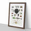 Crabs & Lobsters by Oliver Goldsmith - Picture Frame Painting Print-55510601-55510602