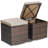 Brynjar Outdoor Ottoman with Cushion-104455567