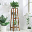 Norene Plant Stand-1579735312