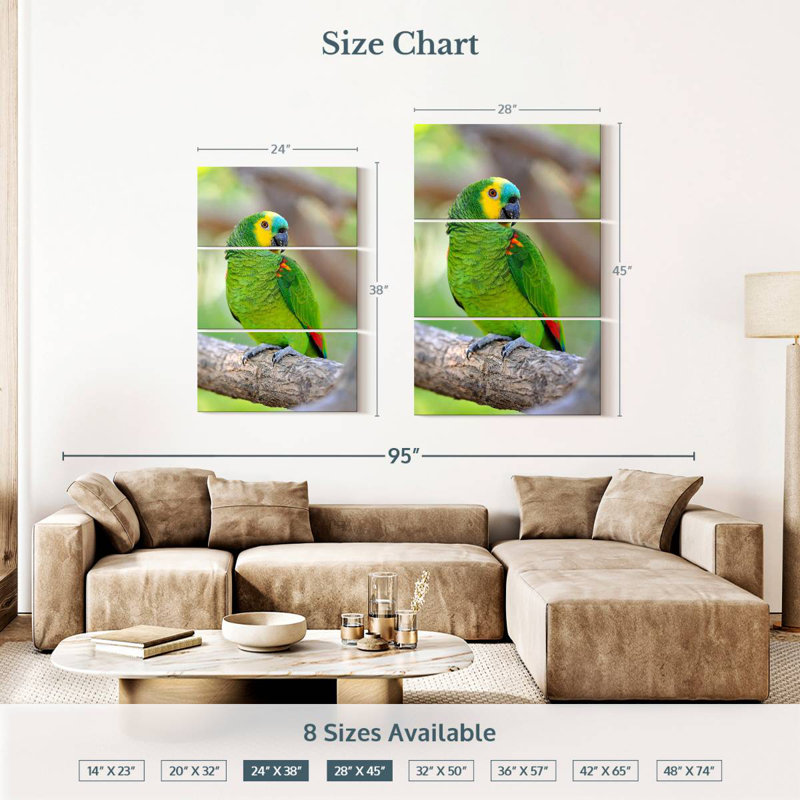 Brampt Turquoise-Fronted Amazon Bird, 38" H x 24" W
