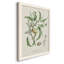 Antique Ammond Botanical IV, reproduction d'art sur toile-88381029-88381030