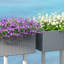 Planter Box-1179697900