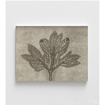 «Horizontal Plants 2» par MMB Studio, idée de décoration murale à motif de feuilles botaniques neutres, grande affiche inspirée de la nature