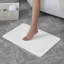 Tapis de salle de bain en pierre Diatomaceous Earth