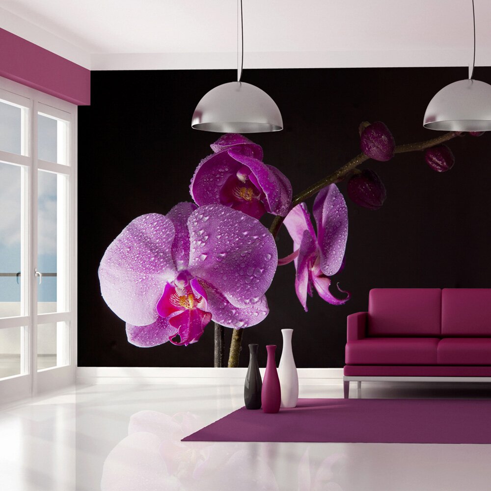 Fototapete stilvoll  Orchidee 193 cm x 250 cm