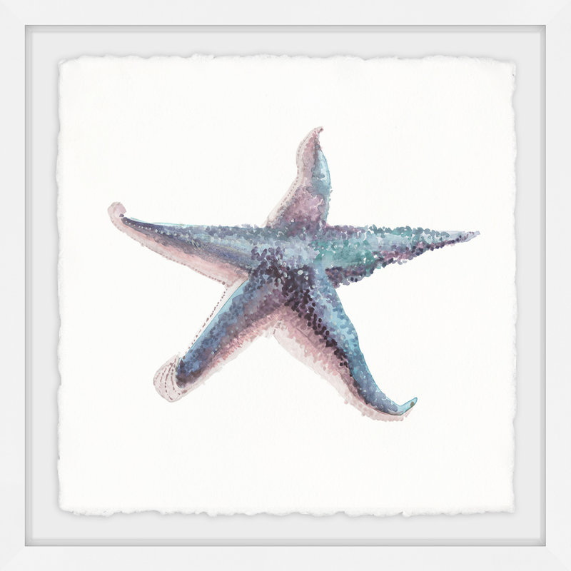 Althea Blue Starfish, reproduction encadrée, H 18 po x l 18 po x P 1,5 po