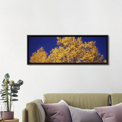 «Colorado», reproduction de photo sur toile