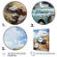 Taourirt Pickup Truck Coastal Harmony - Imprimé-2026058800-2026058801