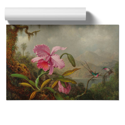 Orchid With Hummingbirds Vol.1 by Martin Johnson Heade - No Frame Painting