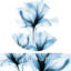 Print