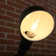 B11E12 60 Watt Equivalent B11 E12/Candelabra Dimmable 2700K LED Bulb