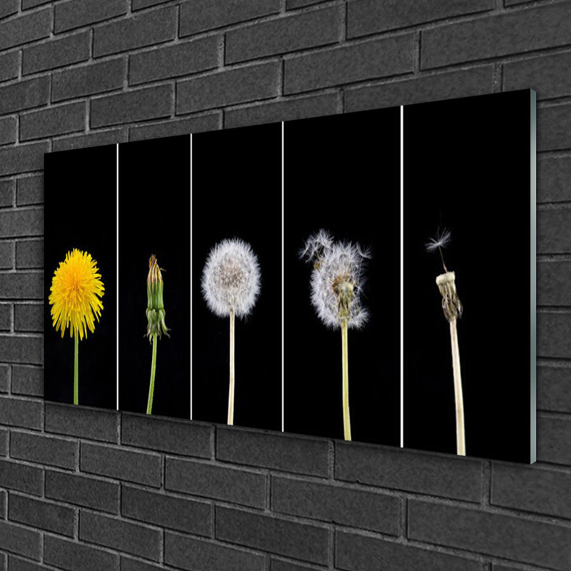 Dandelion Seed Head Floral 1 Piece Wall Art on Glass