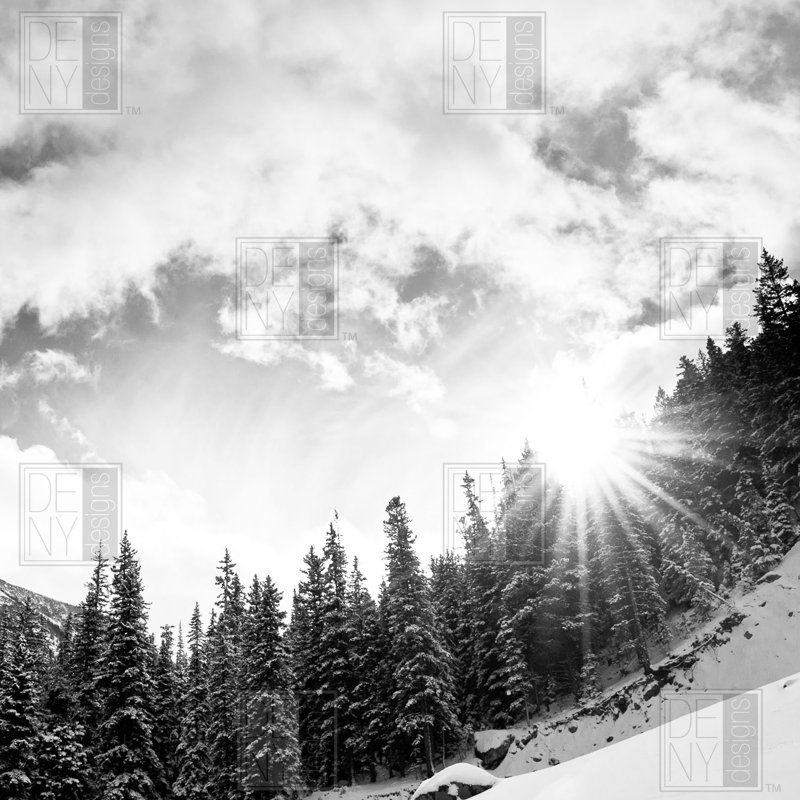 Rideau de douche simple mountain