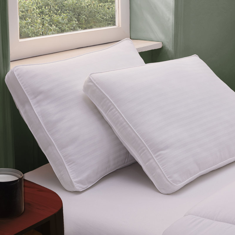 Buswell Polyester Plush Pillow, Standard