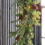 9.3' Evergreen Garland with Lights