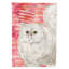 Ck3050gf de jardin à drapeau chat love