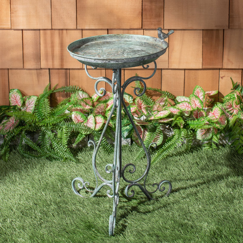 Allon Metal Single Tier Birdbath, Patina