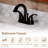 Wild 2-handle Bathroom Faucet with Drain Assembly