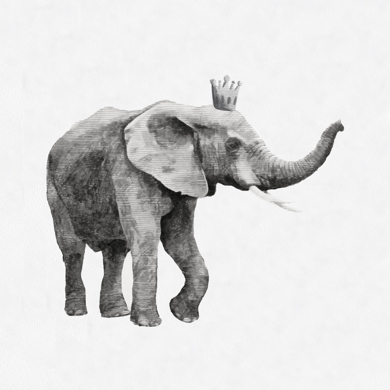 Grey Crowned Elephant Trunk Up - Wrapped Canvas Print, 122cm H x 122cm W