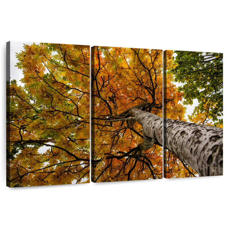 Harnek Birch Tree, 28" H x 45" W