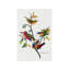 Painted Bunting by John Audubon - 1 Piece Painting on Canvas-1527762840-1527762841