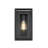 Newlon 7 Inch Outdoor Wall Sconce in Black