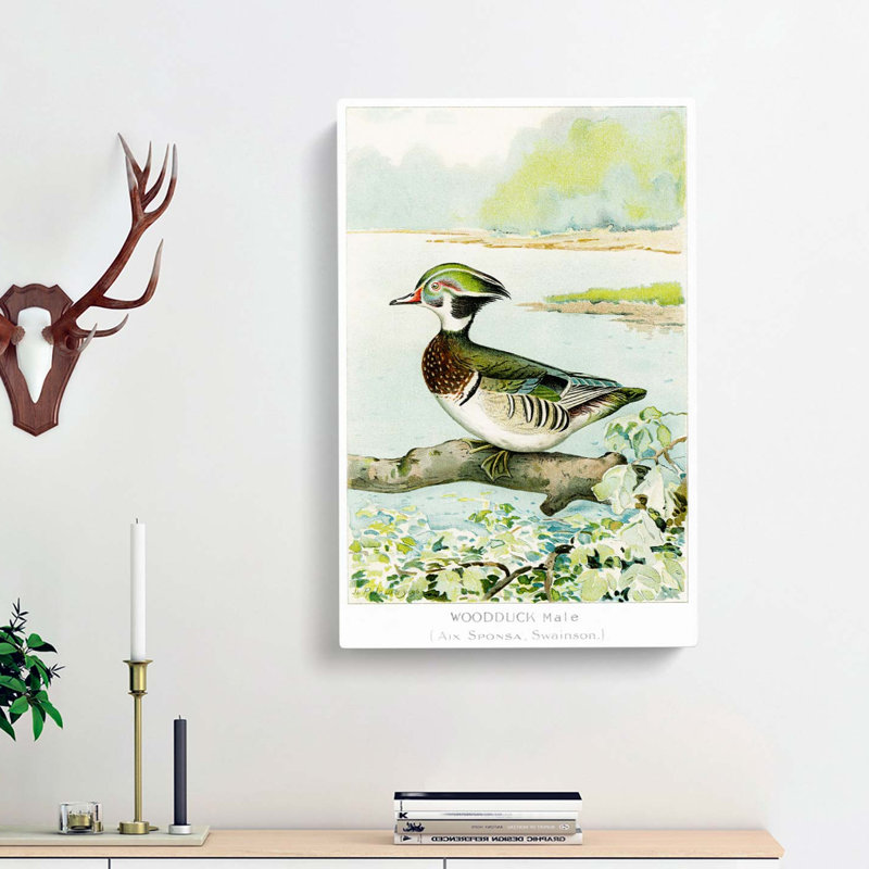 Male Wood Duck by J.L. Ridgway - Wrapped Canvas Painting, 50cm H x 35cm W x 3cm D