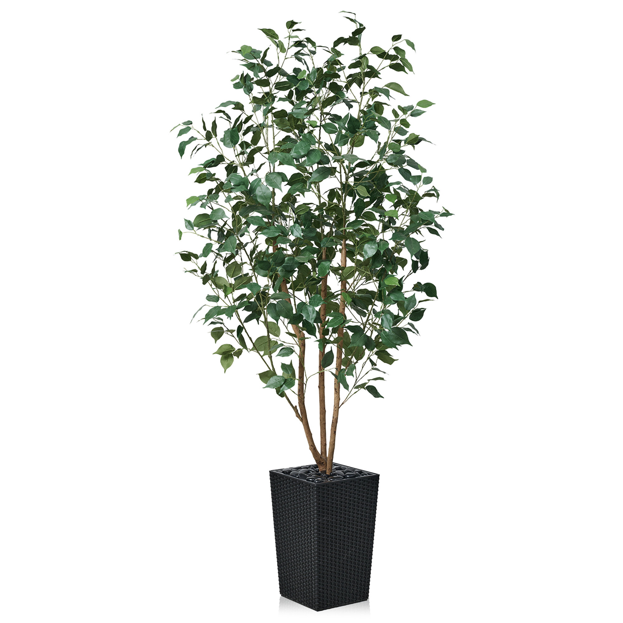 Almont UV Protected Artificial Ficus Tree with Decorative Base, Faux Ficus Plant with Natural Trunk, 72" H x 24" W x 24" D