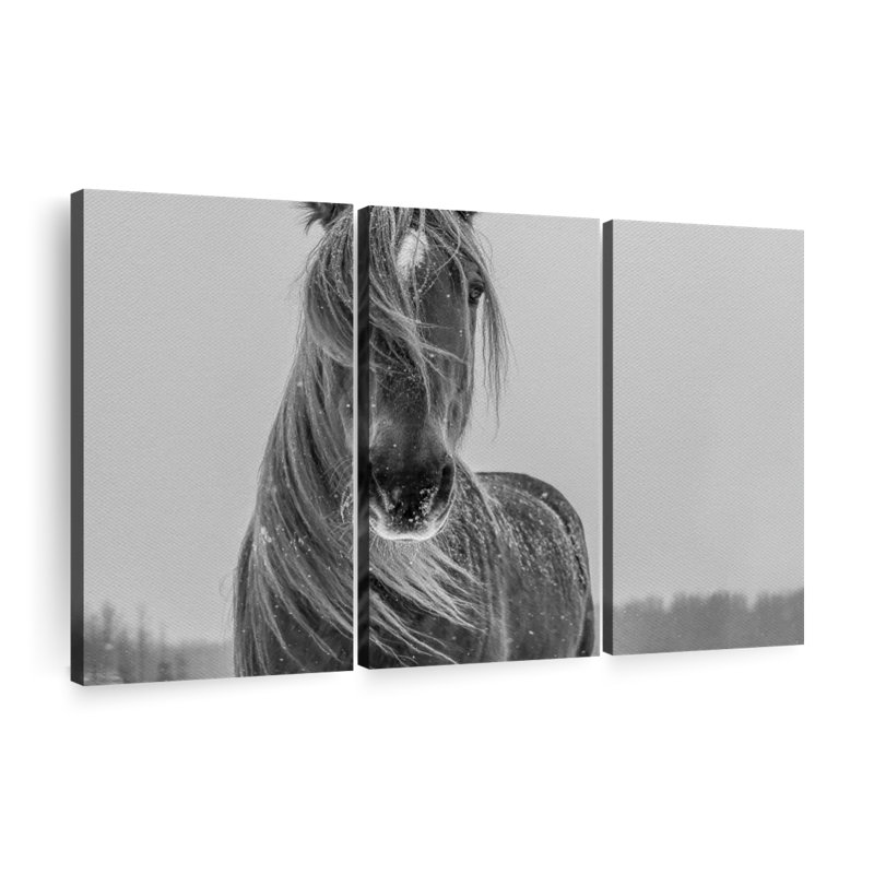 «Winter Horse», reproduction d'art sur toile, H 36 po x l 57 po x P 1,25 po