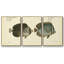 Bloch Antique Fish V - Toile encadrée multi-pièces-1357377772-1357377763