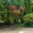 Bowersock Metal Weather Resistant Plant Stand