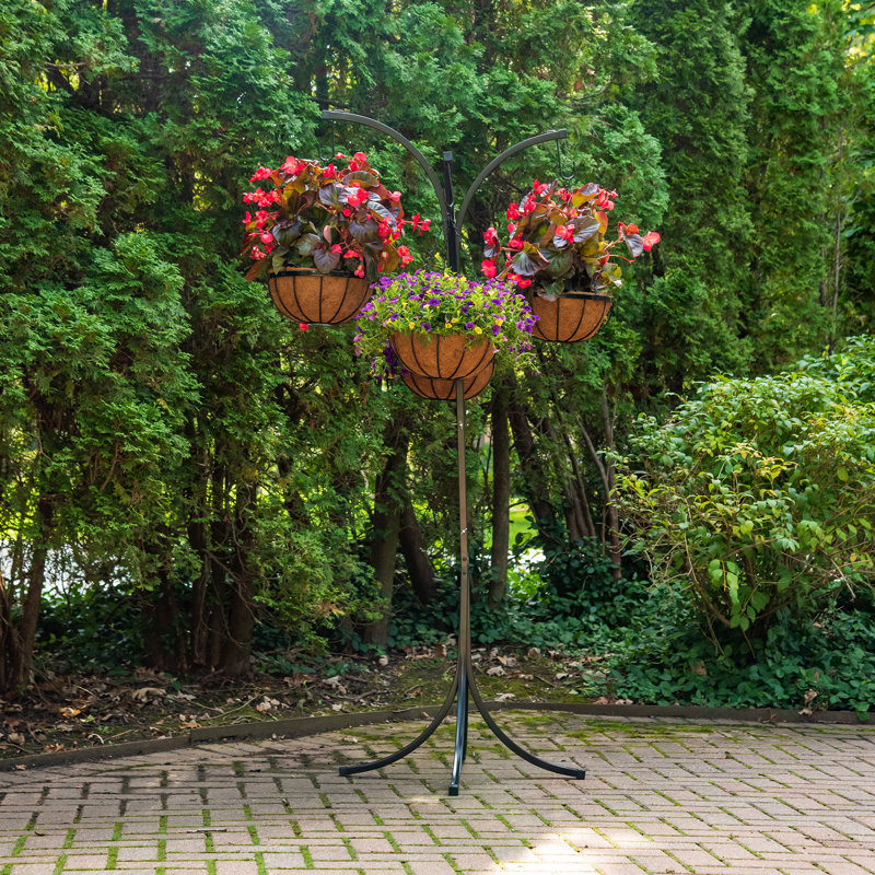 Black Metal 4-Arm Tree with Hanging Baskets