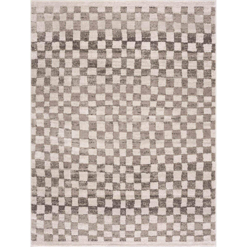 Jasha Checkered Area Rug, Rectangle 4' x 6', Beige
