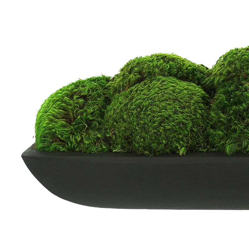 Moss Preserved in Oblong Planter, 7" H x 19.5" W x 7.5" D