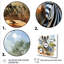 Zèbre, savane, art mural-2065281302-2065281288